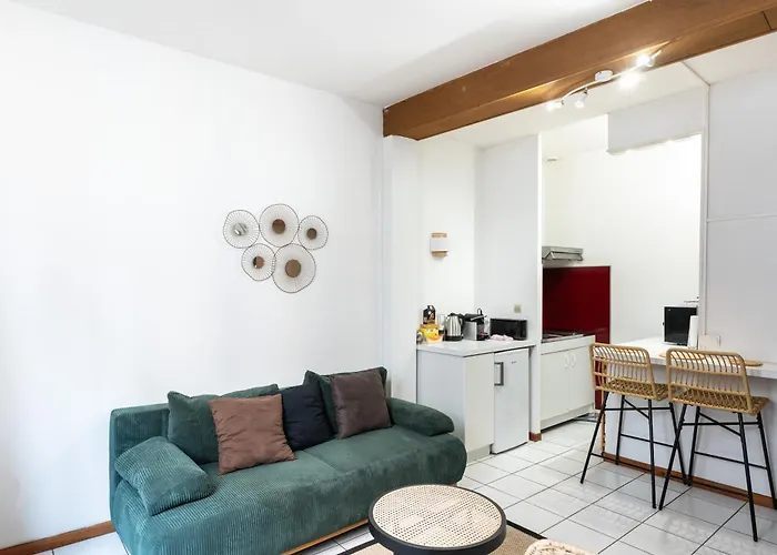 Le Rubis Des Carmes Apartament Tuluza