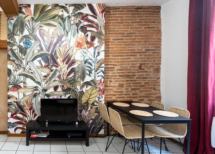 Le Rubis Des Carmes Appartement Toulouse