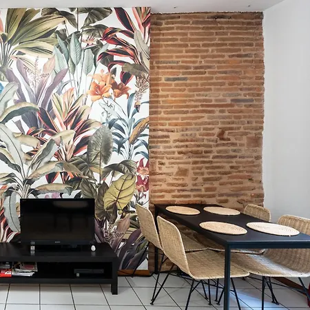 Le Rubis Des Carmes Lägenhet Toulouse