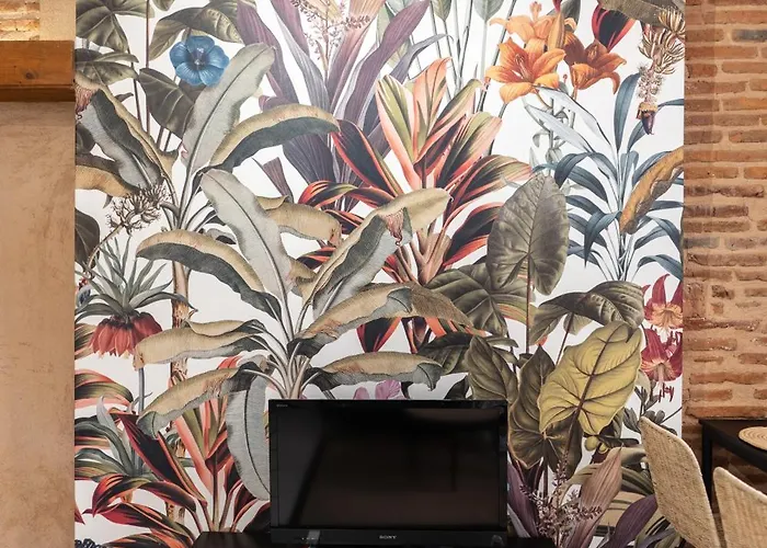 Le Rubis Des Carmes * 圖盧茲